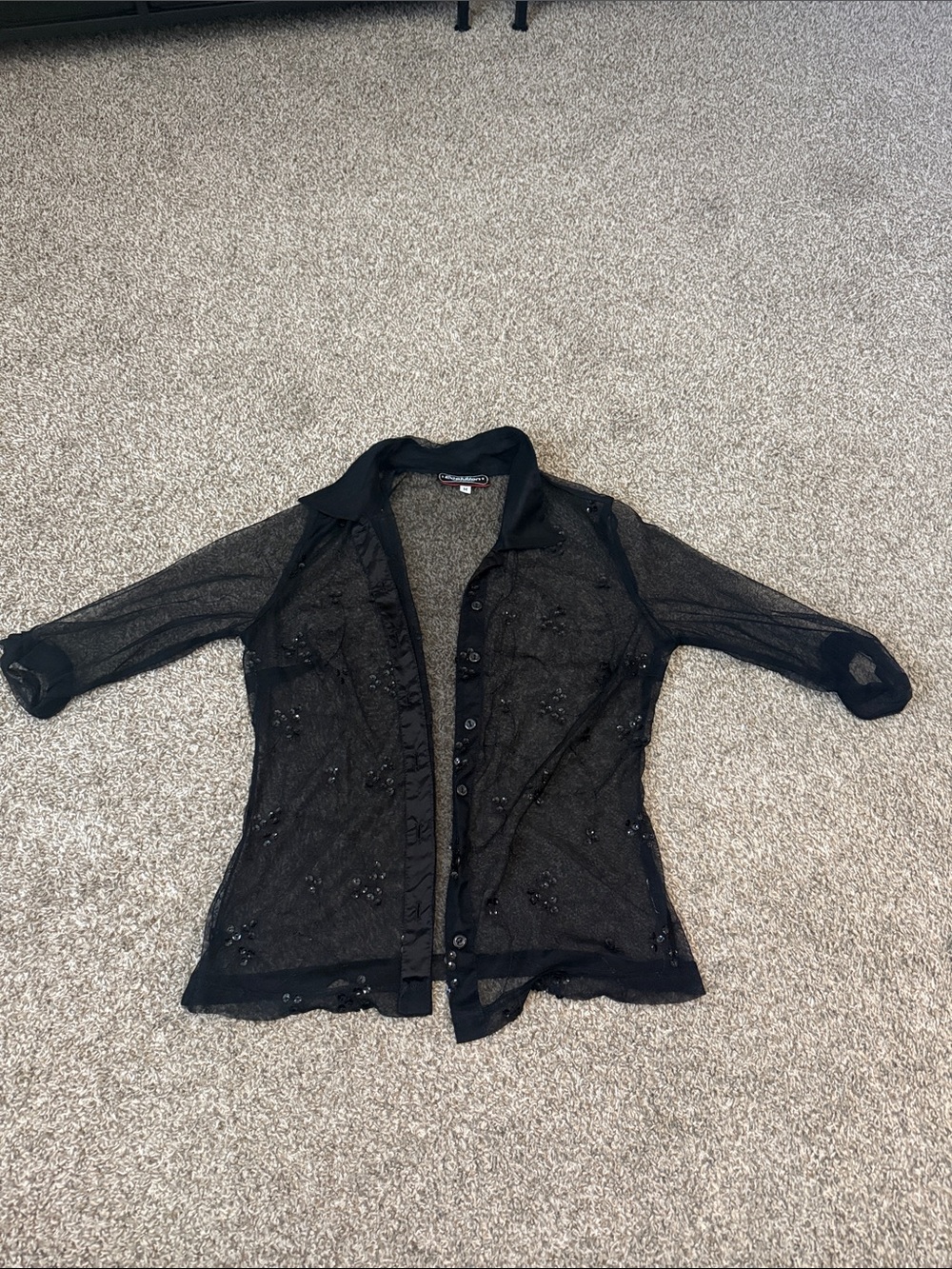 Black Sheer Embellished Button-Front Blouse